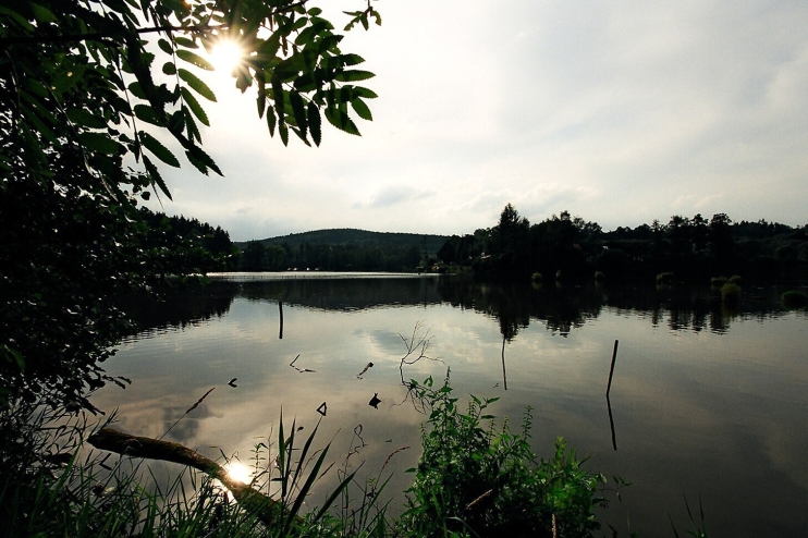 Hodkovský rybník